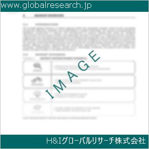グローバルリサーチ調査資料のイメージ